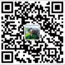 篮球教练如何制定总决赛的长期发展计划_2